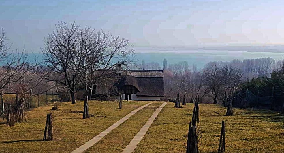 Villa Korozsa Vendeghaz ตีฮานี ภายนอก รูปภาพ
